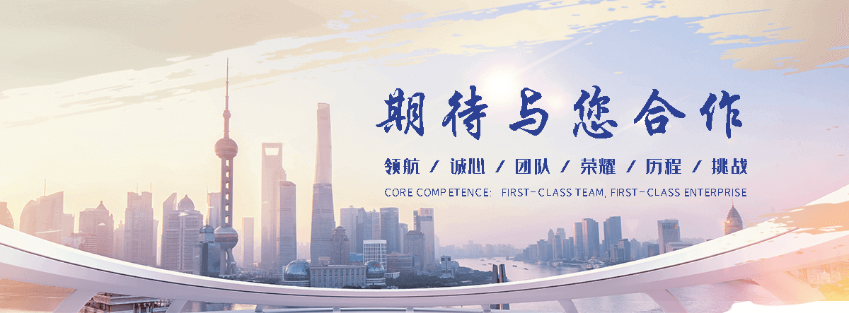 巴南优化公司哪家好